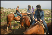 טיול רכיבת סוסים בטבריה